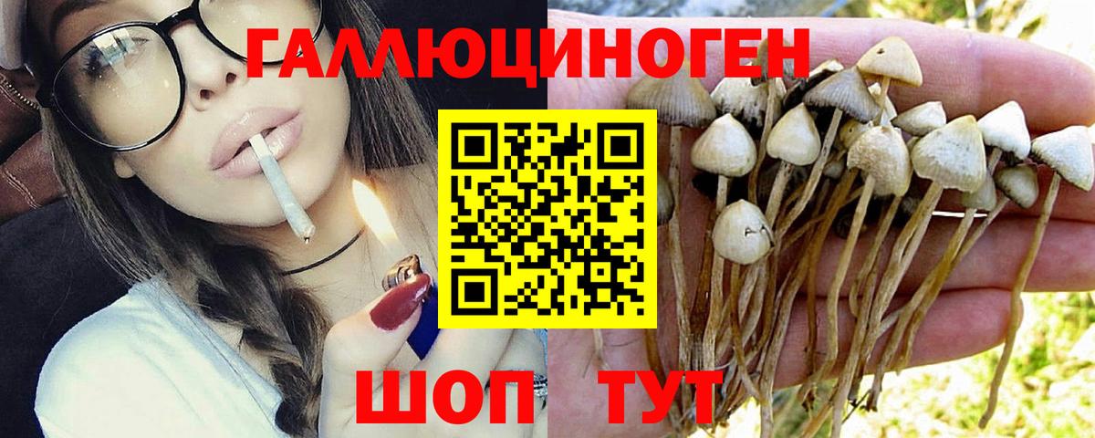 ГАШ  Нововоронеж  Конопля  Экстази  МЕФ   Вход с VPN 